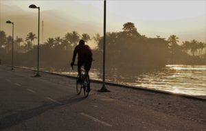 What's the Best Bike for Commuting? Cyclist by a Pond